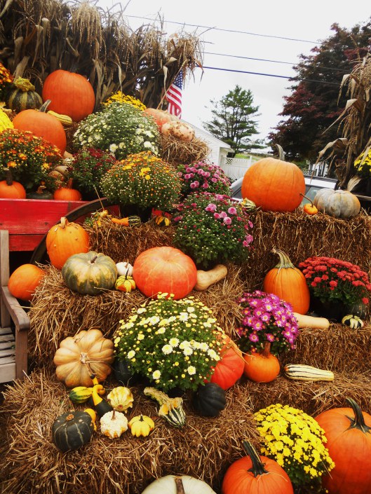 Perfecting Your Autumn Display - Wolff's Apple House