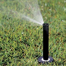 water garden hose sprinkler watering cans