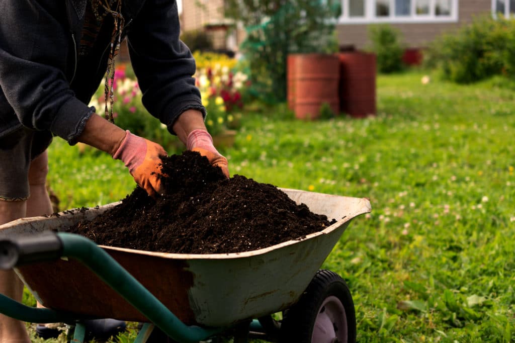 Garden Soil Preparation Tips for Spring